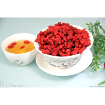 Pó de sumo de Wolfberry / pó de extrato de Wolfberry / pó de Wolfberry / pó de baga de Goji para suco de baga de Goji